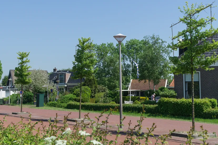 Dearsum-huizen-en-jonge-bomen-langs-weg