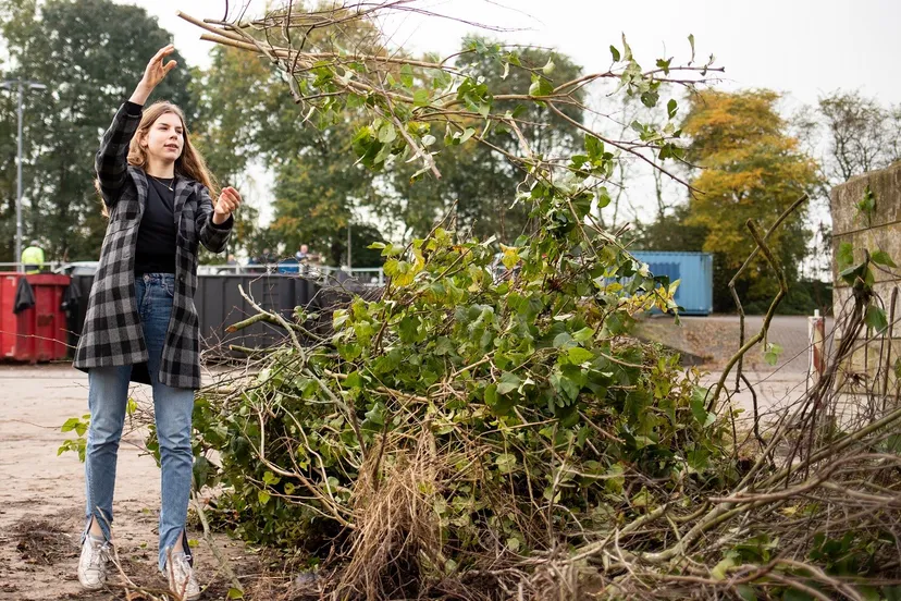 milieustraat-inzamelen-takken-groenafval
