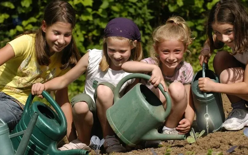 1584 86f21a202df4f16e8d5db152b54625eb 915x518 1