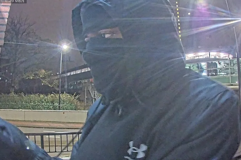 414600097 758136166349748 5793232631390640534 n