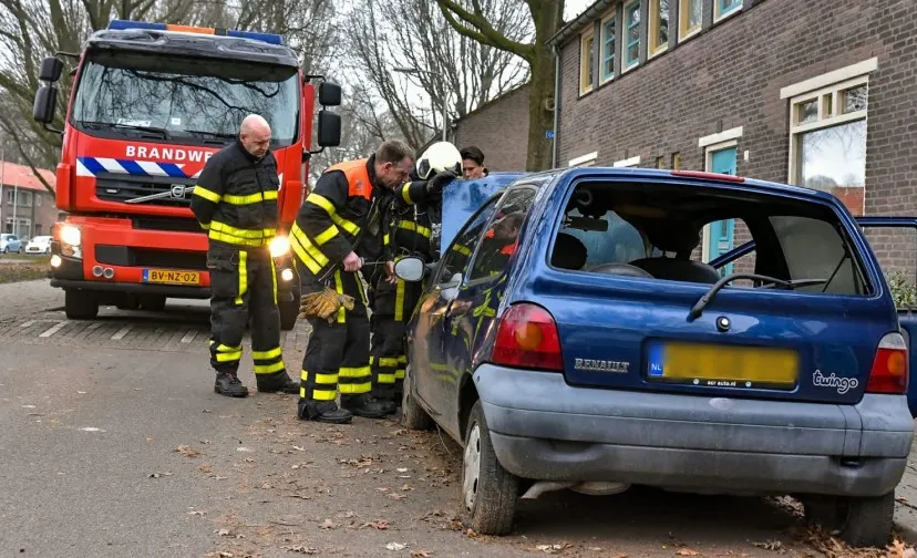auto in brand