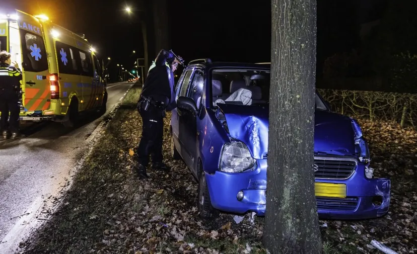 auto tegen boom