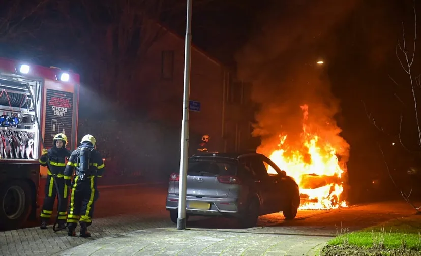 autobrand anna blama