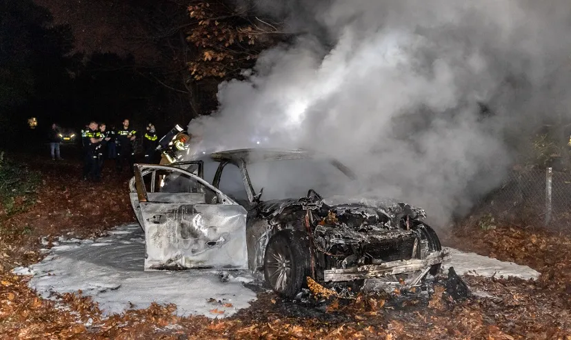 autobrand op bosperceel