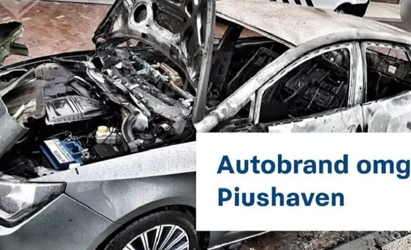 autobrand piushave