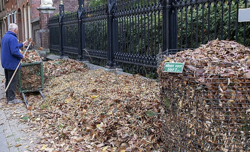 bladkorf met een man er bij 2e969ce7de