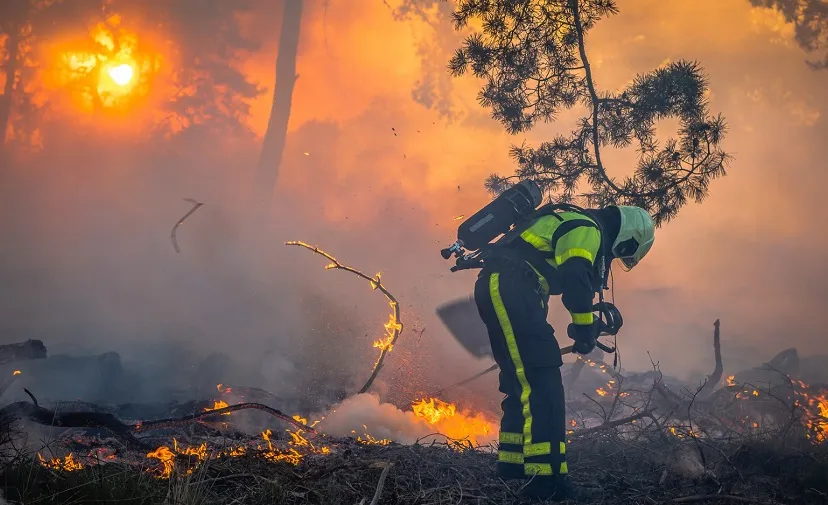 bosbrand heidebaan tilburg