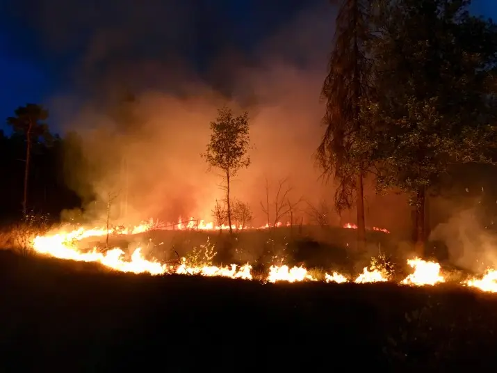 bosbrand oude rielsebaan