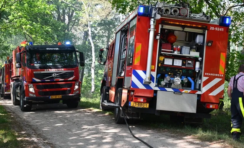 brand biets houtakker