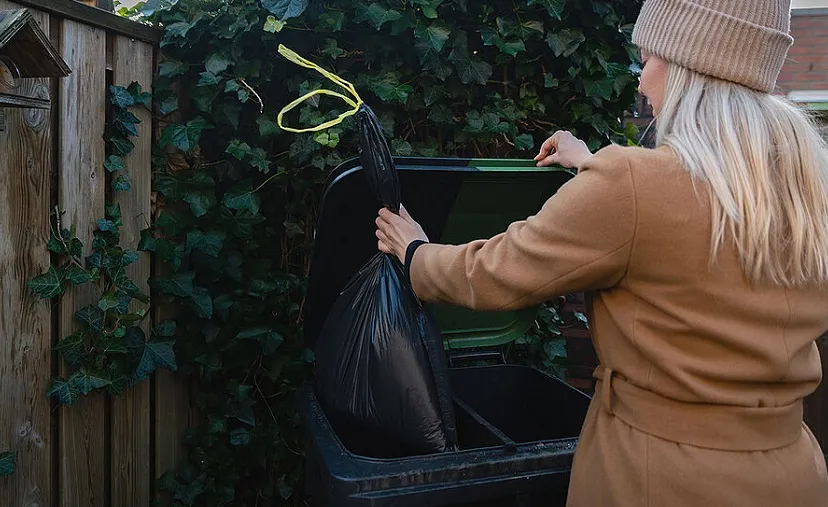 container gft 564d8c8dc3