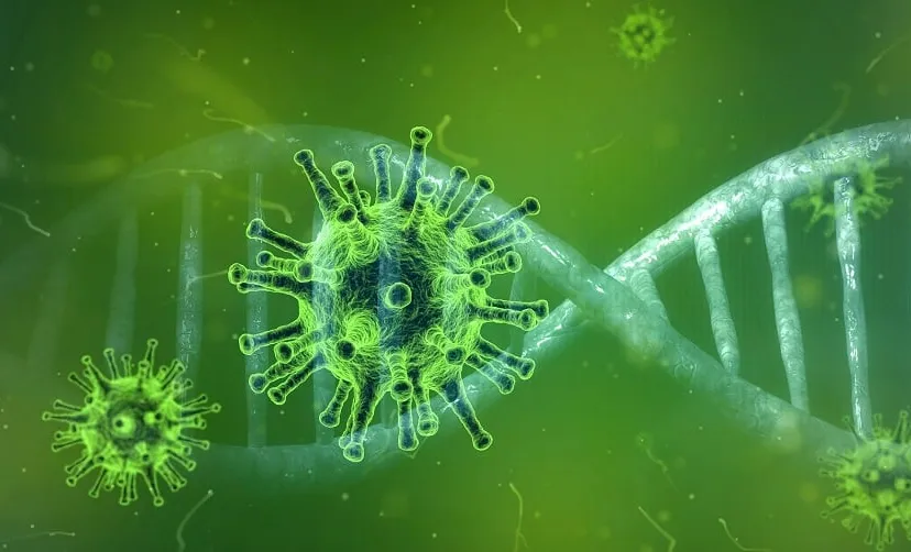 coronavirus 4833754 1920