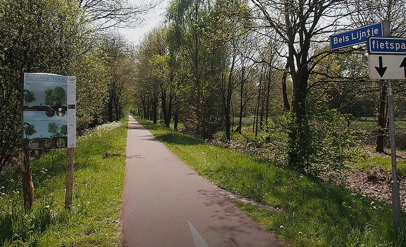 csm bels lijntje bijen 76e8b2d934