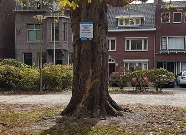 csm boom wilhelminapark b7cb8f78d2