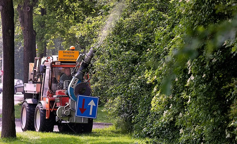 csm eikenprocessie rups 2020 bij 79ad5bf156