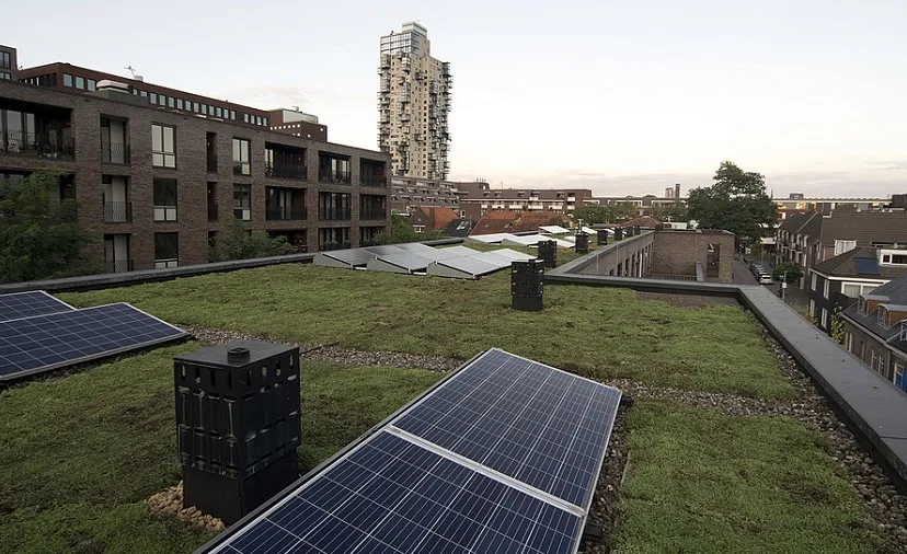 csm elzenstraat dsc 3032 e73be2fa2e