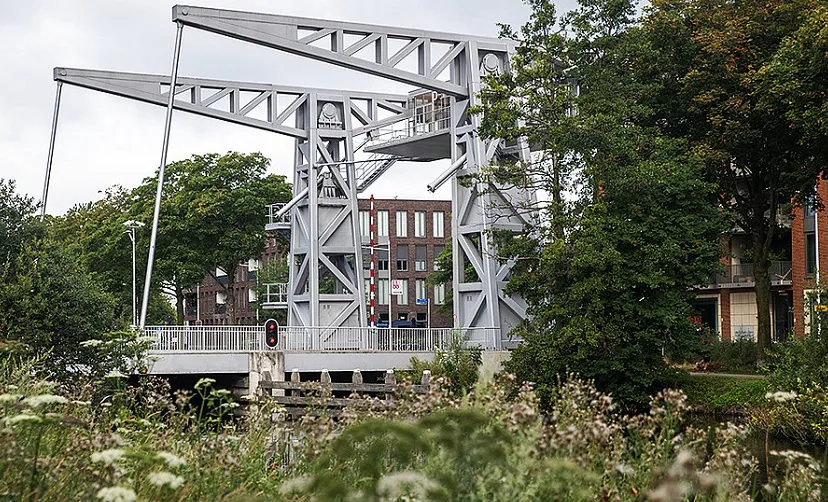 csm groen en brug f9c8884edd