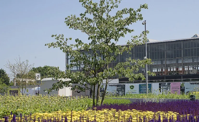 csm groen station cf0cbff5d2