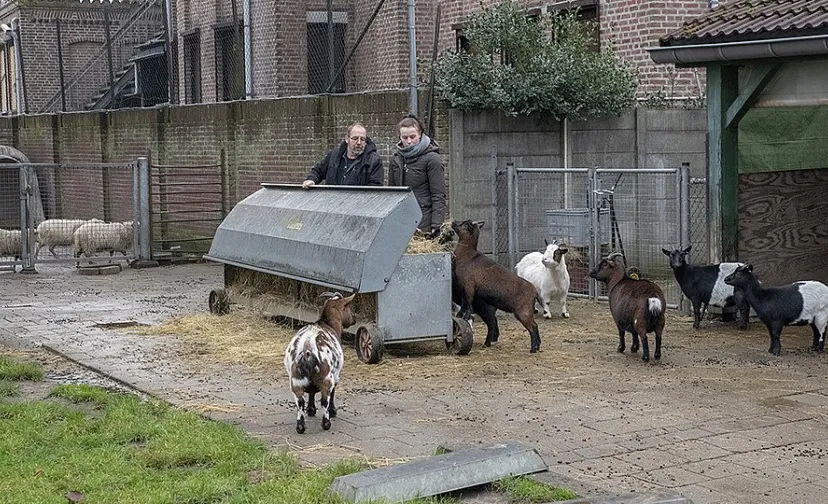 csm kinderboerderij a91afeeefe