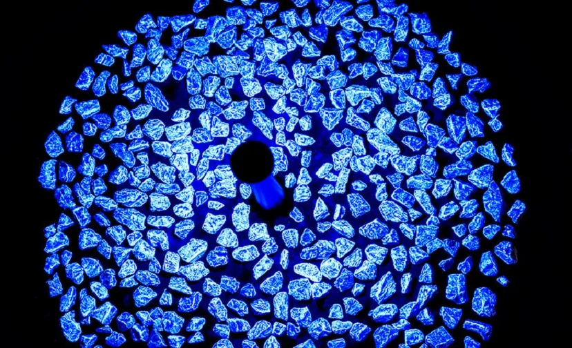 csm levenslicht bij 895c7de19d