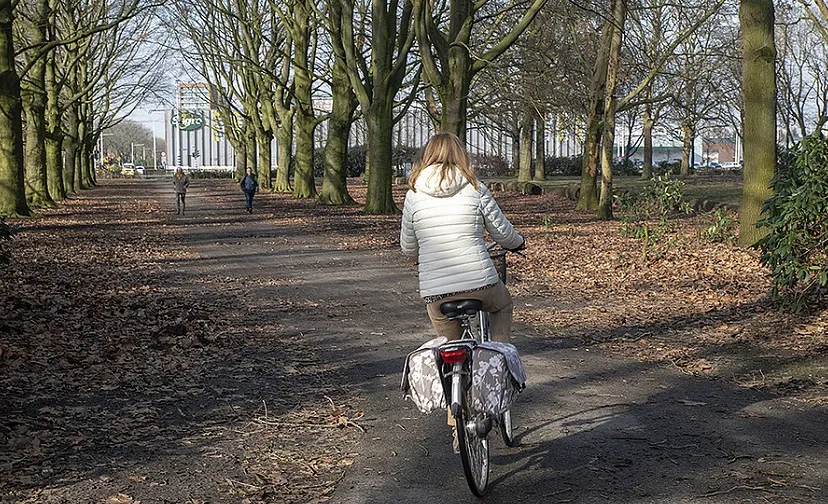 csm leypark d0a7744cb8