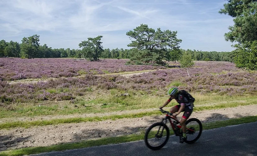 csm mountainbiken c4f6ad6538