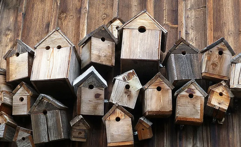 csm nestkasten 197e497f8e