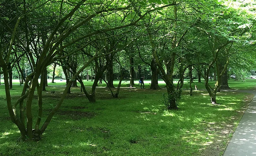 csm oude dijk d755a6b1da