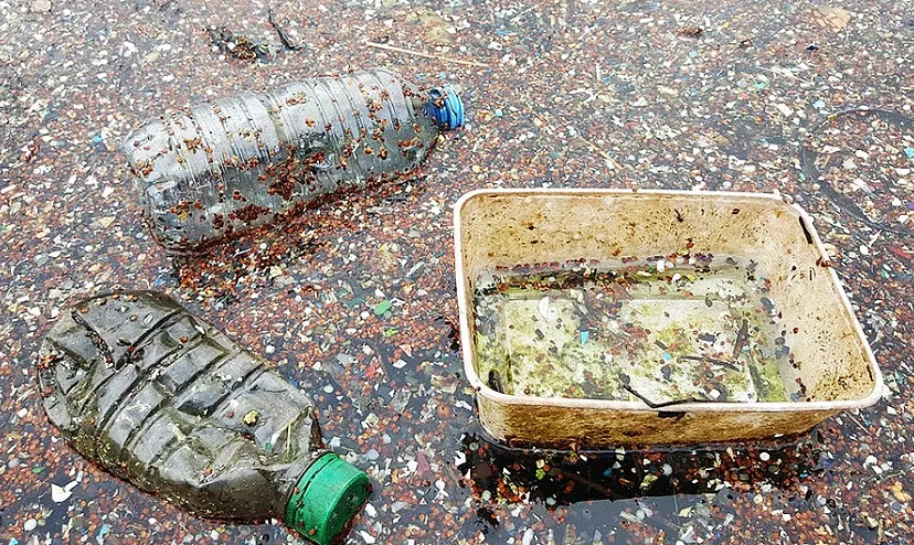 csm plastic in de vijver 60c3b72b91