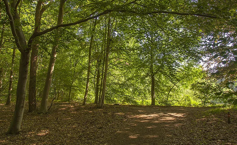 csm stadsbos 013 89f32e359f