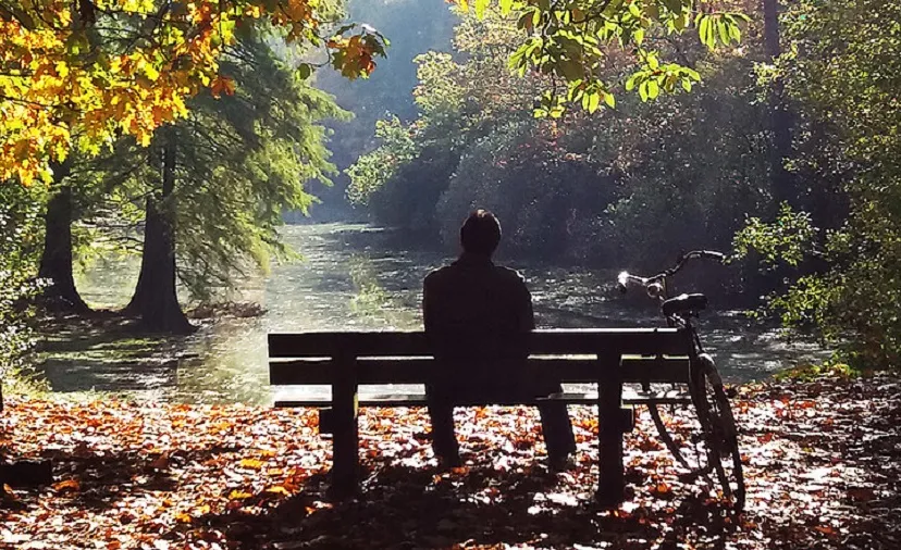 csm wandelbos bij ff5310f9f6