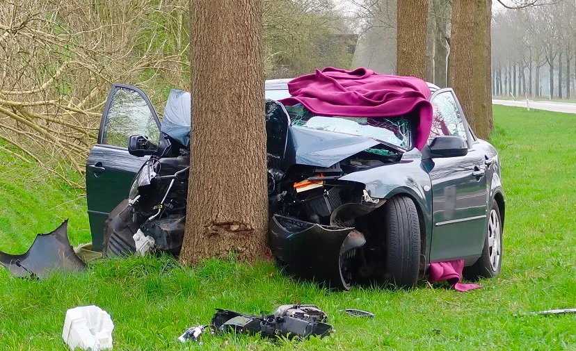 dodelijk ongeluk goirle