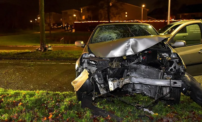 dongewijkdreef 29 12