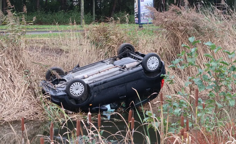 dongewijkdreef sloot