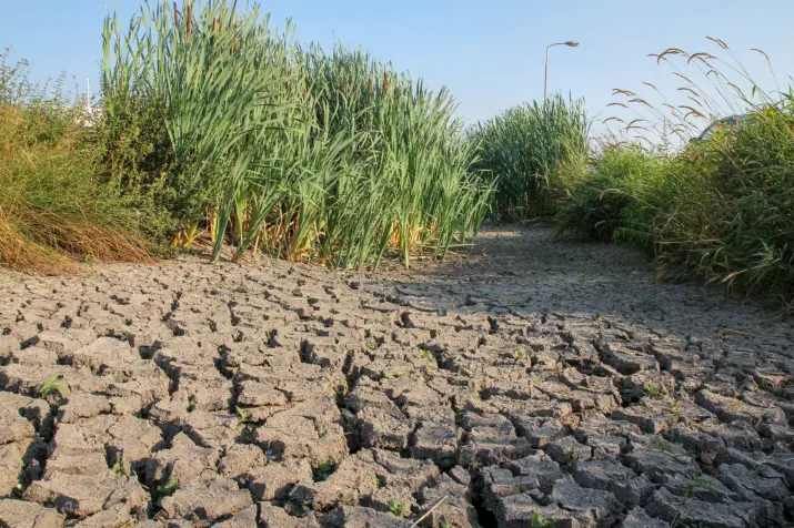 droogte 1