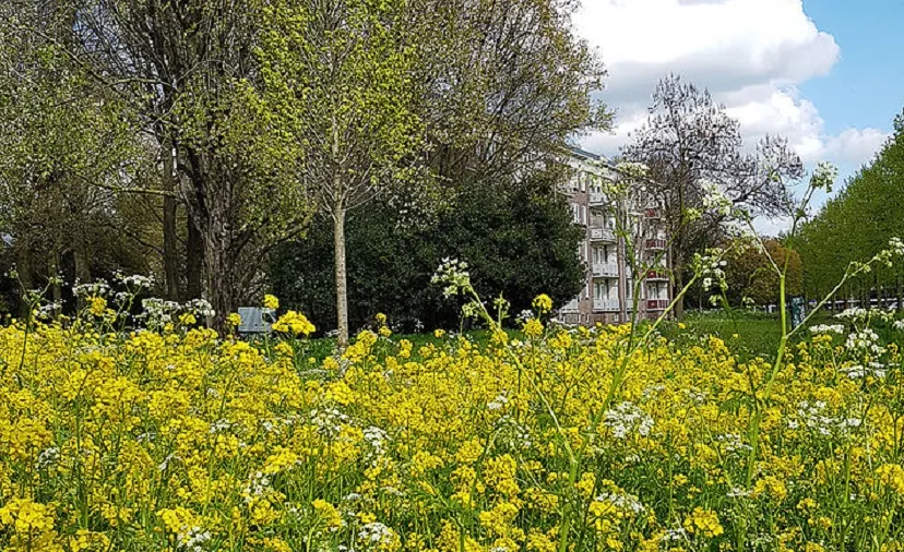 ecologisch beheer d9e67d3bfc