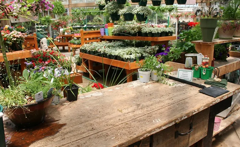 garden center g2dce5b502 1920