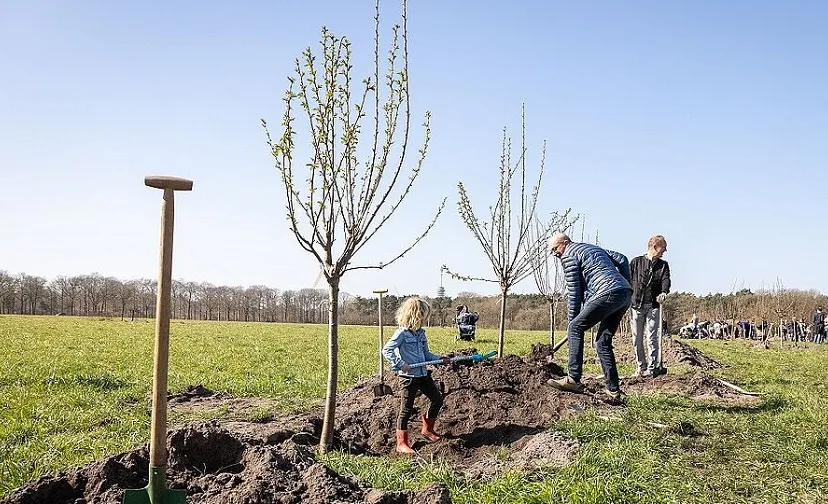 geboortebos 0f194768ff