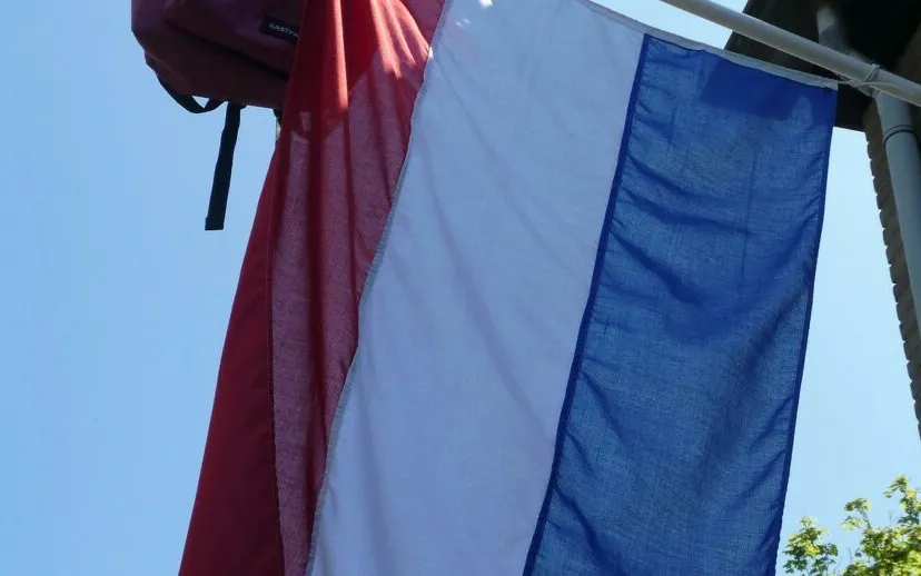 geslaagd elsemargriet via pixabay 915x518 1