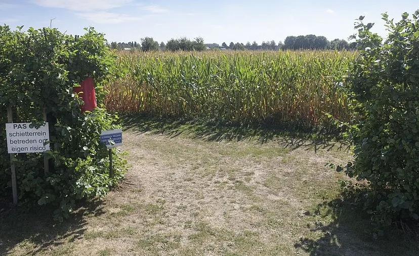 gildeterrein 1c43388d59