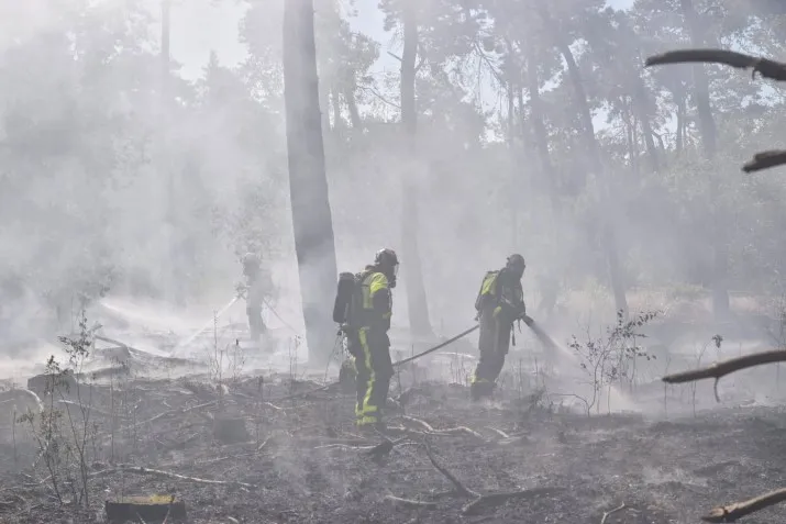 grote bosbrand siptenpad tilburg