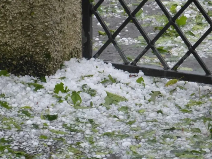 hagel