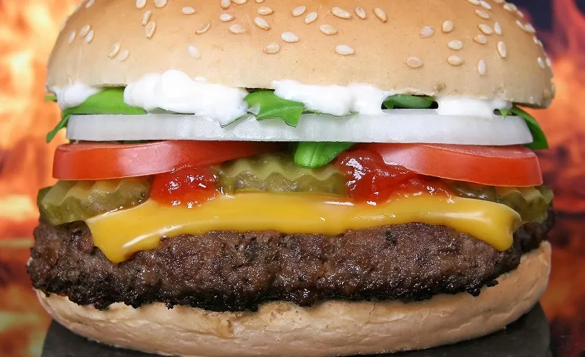 hamburger g46a88db7b 1920