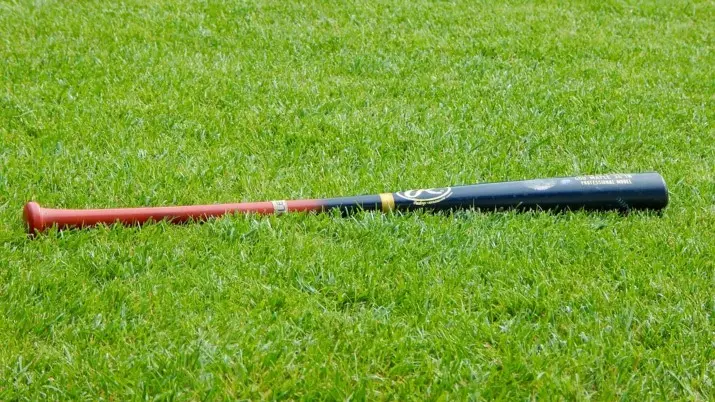 honkbal
