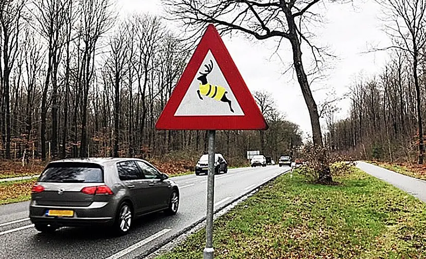 ik let op wild