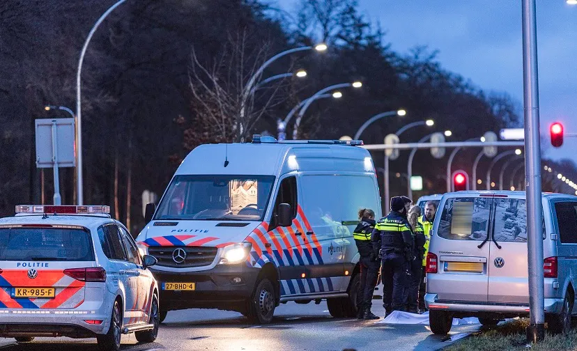 jack brekelmans 20190112165912 0