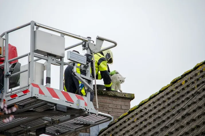 kater toontje op schoorsteen
