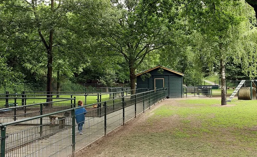 kindje op kinderboerderij 5c3ec24b37