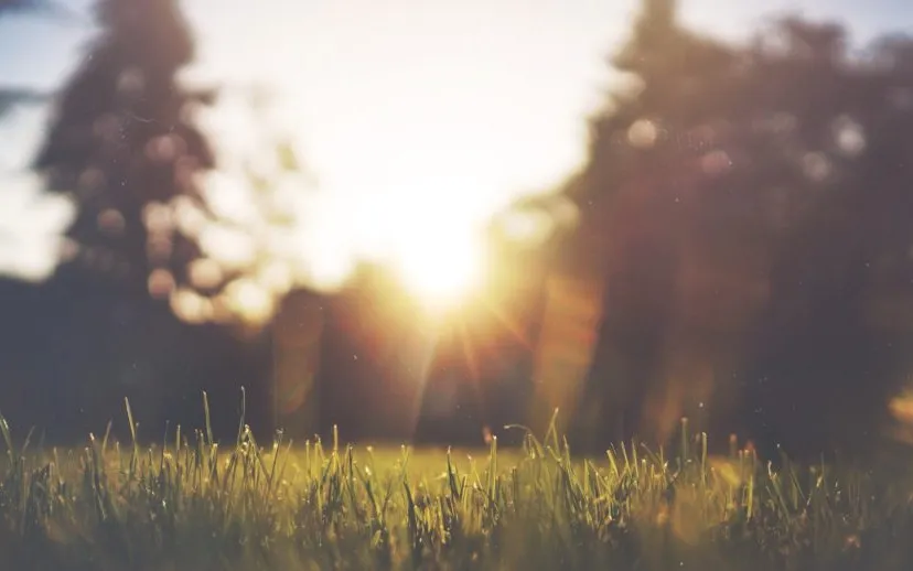 lente buiten vakantie 915x518 1