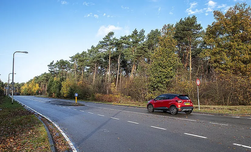 mob complex 4b8fab7748