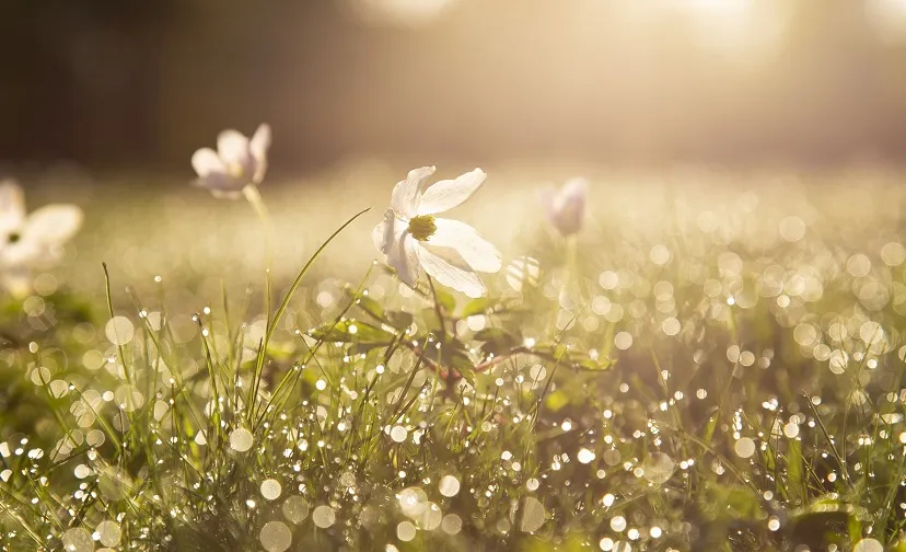 morning g0bdb604d0 1920